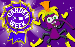 Garden of the Week – May 2025. Wave 1.